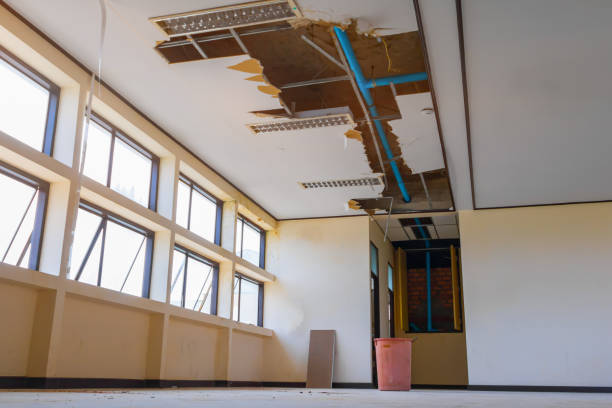 Best Residential water damage restoration  in Camn, DE