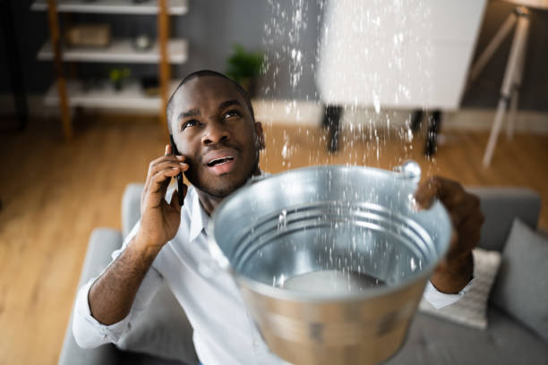Best Water damage contractors near me  in Camn, DE