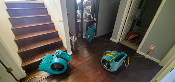 Best Flooded house restoration  in Camn, DE