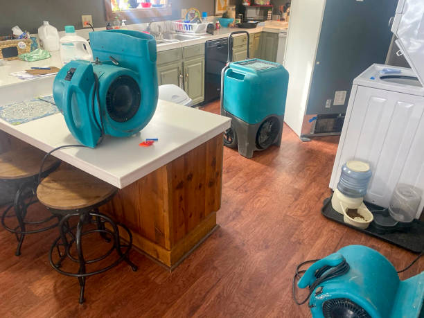 Best Mold removal after water damage  in Camn, DE