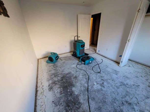 Best Residential water damage restoration  in Camn, DE