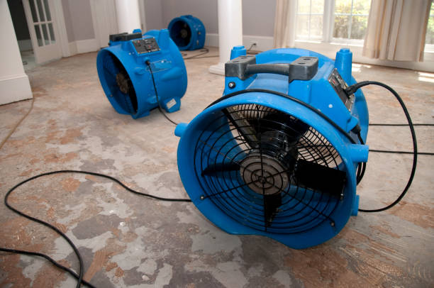 Best Emergency water damage restoration  in Camn, DE