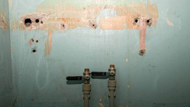 Best 24-hour water damage restoration  in Camn, DE
