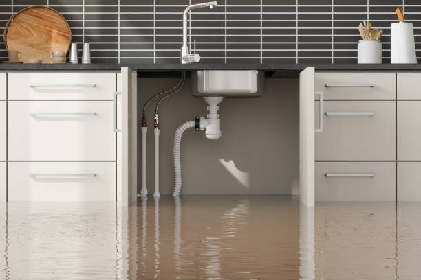 Best Water damage cleanup near me  in Camn, DE