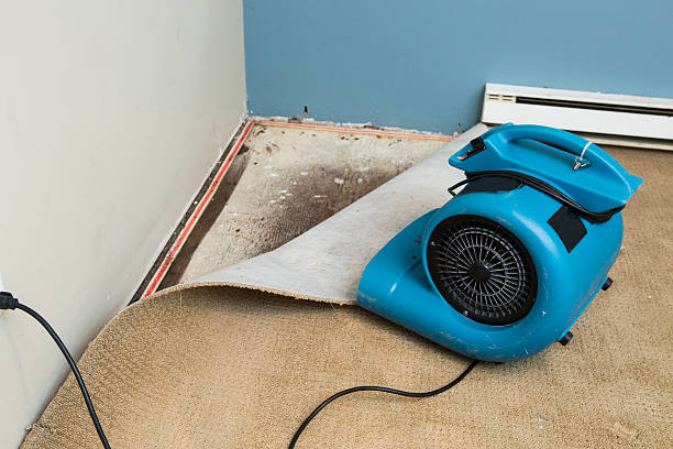 Best Commercial water damage restoration  in Camn, DE