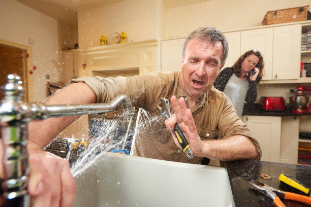 Best Water damage restoration specialists  in Camn, DE